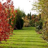 chemin vers le jardin contemporain